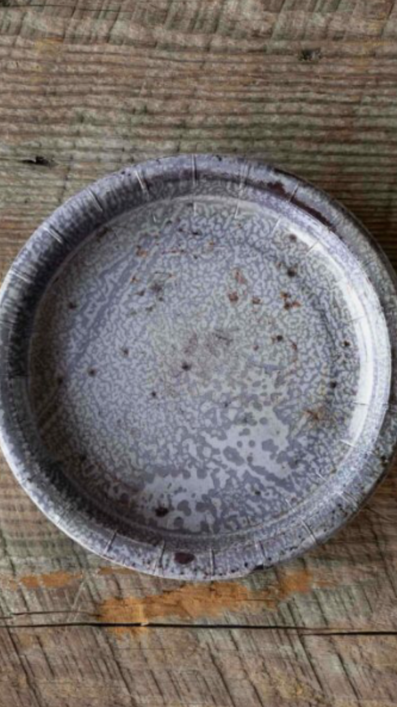 Park Hill-Aged Graniteware Dinner Plate