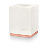 Illume Candles-Coconut Milk Mango boxed glass candle small