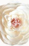 A'Marie's Bath Flower Petal Soap-