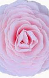 A'Marie's Bath Flower Petal Soap-