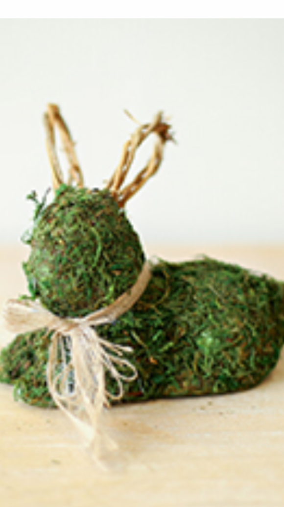 The Royal Standard- Moss Bunny